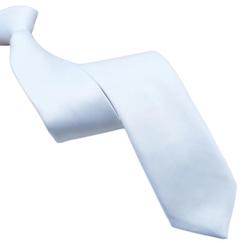 Fashionable Zippered Neck Tie  - Bow Tie Pre Tied review and price